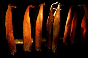 Falls the Shadow by Helen Pollock